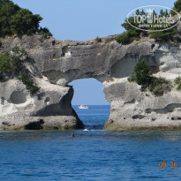 фото из отзыва ID 2729477