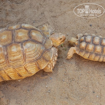 фото из отзыва ID 2727980