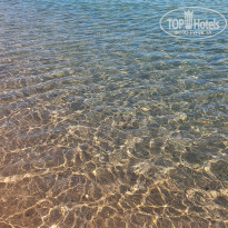 фото из отзыва ID 2727980