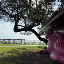 фото из отзыва ID 2725267