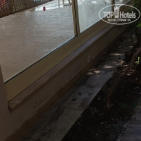 фото из отзыва ID 2730013