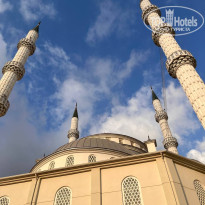 фото из отзыва ID 2730024