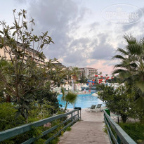 фото из отзыва ID 2730024