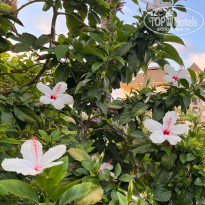 фото из отзыва ID 2730024