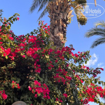 фото из отзыва ID 2730024