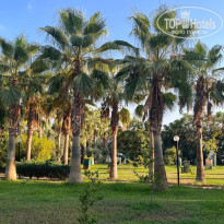 фото из отзыва ID 2730024