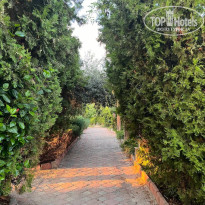 фото из отзыва ID 2730024