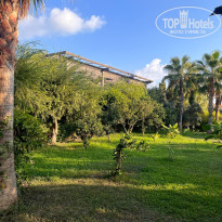 фото из отзыва ID 2730024