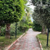 фото из отзыва ID 2730024