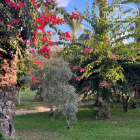 фото из отзыва ID 2730024