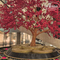 фото из отзыва ID 2730025