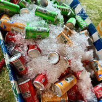 фото из отзыва ID 2730033