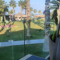 фото из отзыва ID 2730058