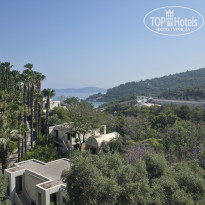 фото из отзыва ID 2730121