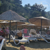 фото из отзыва ID 2730121