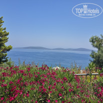 фото из отзыва ID 2730121