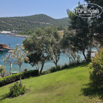 фото из отзыва ID 2730121