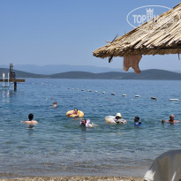 фото из отзыва ID 2730121