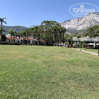 фото из отзыва ID 2730132