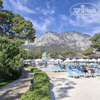 фото из отзыва ID 2730132