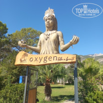 фото из отзыва ID 2730150