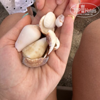 фото из отзыва ID 2730158