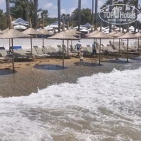 фото из отзыва ID 2730187