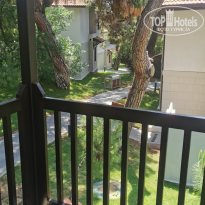 фото из отзыва ID 2730187