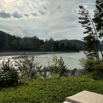 фото из отзыва ID 2730200