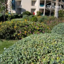 фото из отзыва ID 2730215