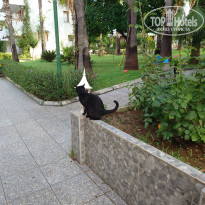 фото из отзыва ID 2730221