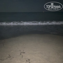 фото из отзыва ID 2730269