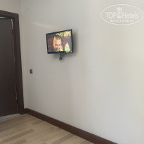 фото из отзыва ID 2730269