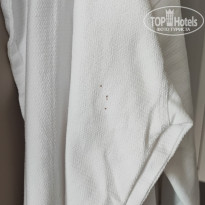 фото из отзыва ID 2730275