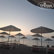 фото из отзыва ID 2730278