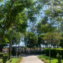 фото из отзыва ID 2730336