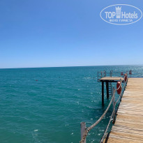 фото из отзыва ID 2730336