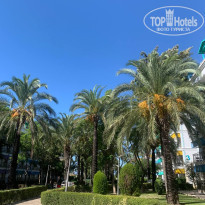 фото из отзыва ID 2730336