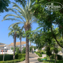 фото из отзыва ID 2730336