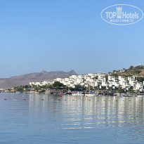 фото из отзыва ID 2730358