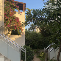 фото из отзыва ID 2730358