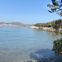 фото из отзыва ID 2730358