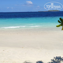 фото из отзыва ID 2730359