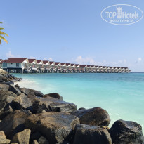 фото из отзыва ID 2730359