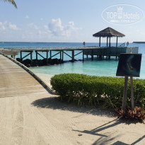 фото из отзыва ID 2730359