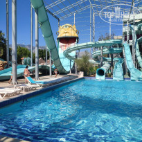 фото из отзыва ID 2730373