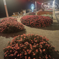 фото из отзыва ID 2730382