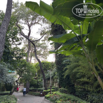 фото из отзыва ID 2730412