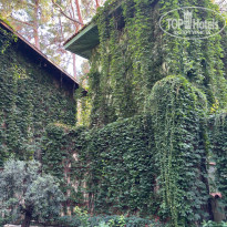 фото из отзыва ID 2730412