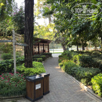 фото из отзыва ID 2730412